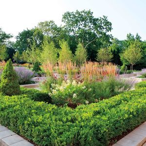 Meet your Posher, Evelyn